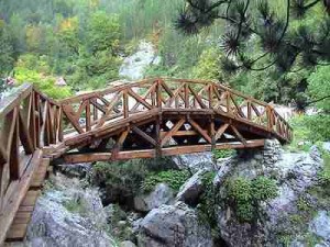 ponte_madeira